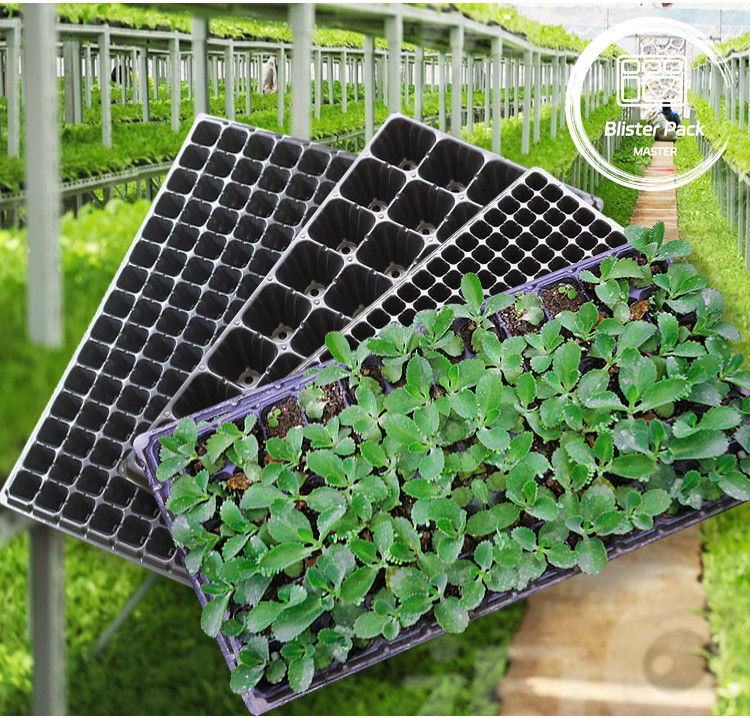 耐久性のある多細胞種子発芽トレイ 野菜と花のための21〜128細胞