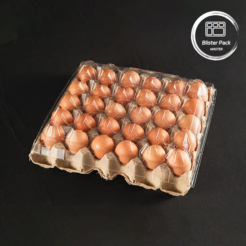 PET プラスチック 卵皿 紙底付き 30 穴 の 箱 S/M/L サイズ