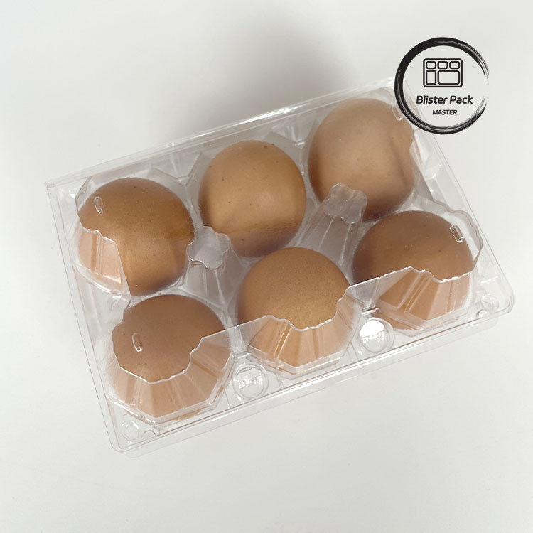 6 パック プラスチック製 の 卵 箱 耐久 卵 の 梱包 箱 安全な 保存 の ため