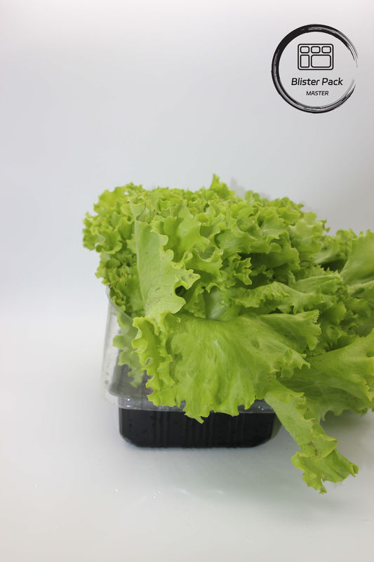 人工 庭 野菜 と 果物 装飾 に ぴったり な プラスチック 種子 托管