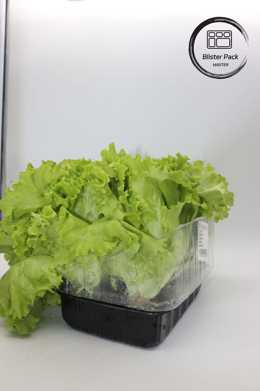 人工 庭 野菜 と 果物 装飾 に ぴったり な プラスチック 種子 托管