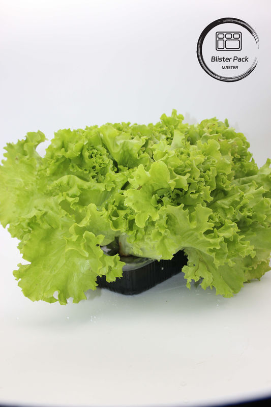 人工 庭 野菜 と 果物 装飾 に ぴったり な プラスチック 種子 托管