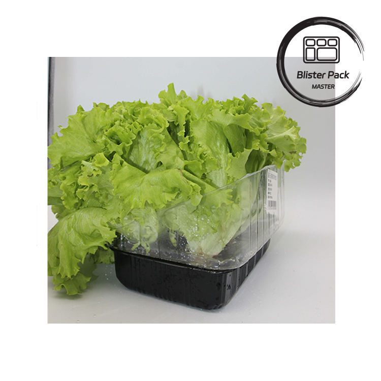 人工 庭 野菜 と 果物 装飾 に ぴったり な プラスチック 種子 托管
